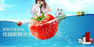 公司介绍
